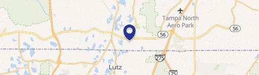 Lutz, FL 33549