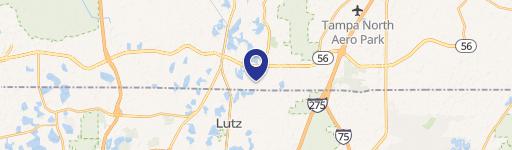 Lutz, FL 33549
