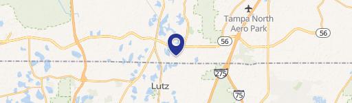 Lutz, FL 33549