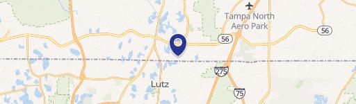 Lutz, FL 33549