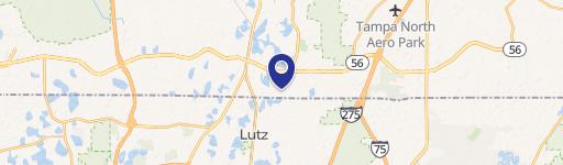 Lutz, FL 33549