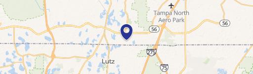 Lutz, FL 33549