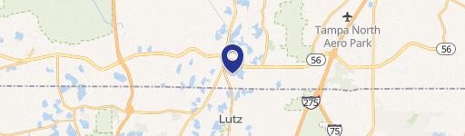 Lutz, FL 33549