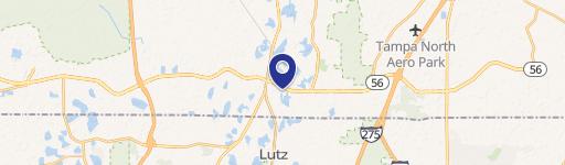 Lutz, FL 33549