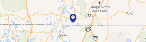 Lutz, FL 33549