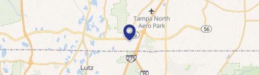 Lutz, FL 33559