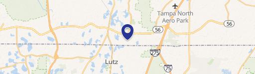 Lutz, FL 33549