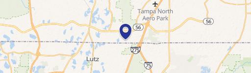 Lutz, FL 33559