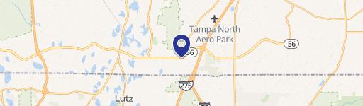 Lutz, FL 33559