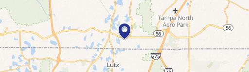 Lutz, FL 33549