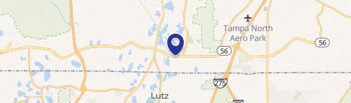 Lutz, FL 33549