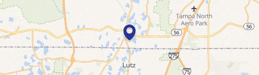 Lutz, FL 33549