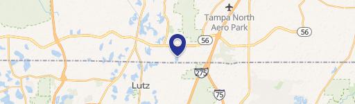 Lutz, FL 33559