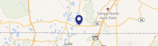 Lutz, FL 33549