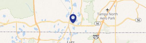 Lutz, FL 33549