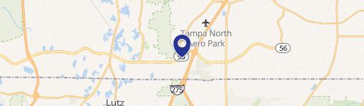Lutz, FL 33559