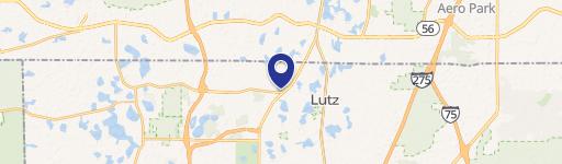 Lutz, FL 33558