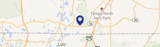 Lutz, FL 33559