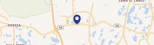 17724 Hunting Bow Cir