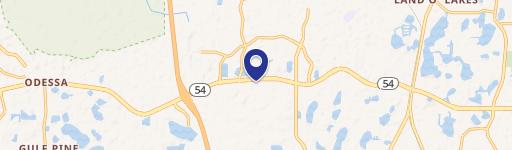 17807 Hunting Bow Cir