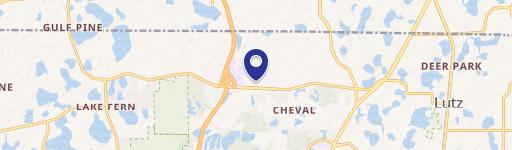 5203 Lutz Lk Fern Rd