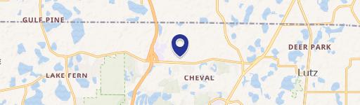 5001 Lutz Lk Fern Rd