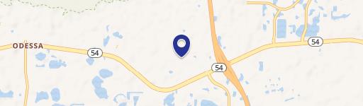 2152 Leather Fern Dr