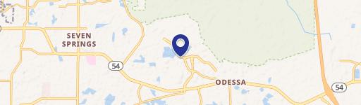 Odessa, FL 33556