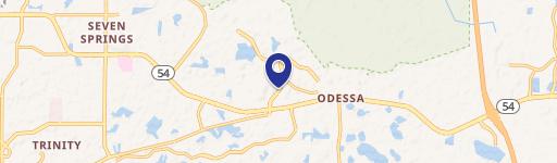 Odessa, FL 33556