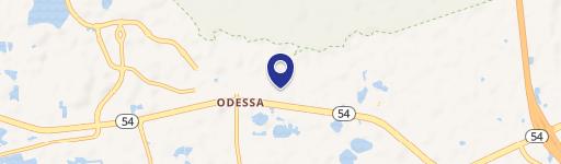 Odessa, FL 33556
