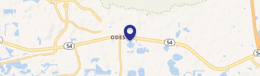 Odessa, FL 33556