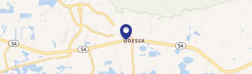 Odessa, FL 33556