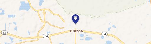 Odessa, FL 33556