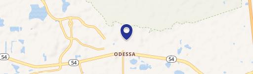 Odessa, FL 33556