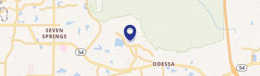 Odessa, FL 33556