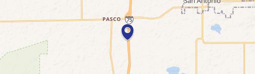 San Antonio, FL 33576