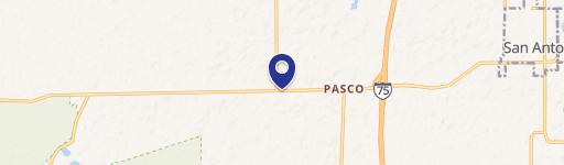 San Antonio, FL 33576