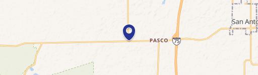 San Antonio, FL 33576