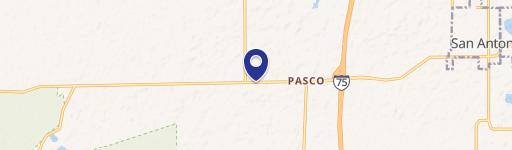 San Antonio, FL 33576