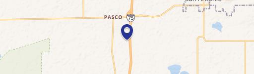 San Antonio, FL 33576