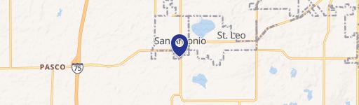 San Antonio, FL 33576