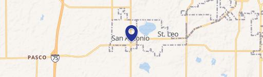 San Antonio, FL 33576