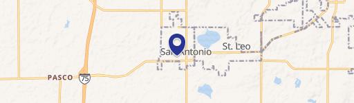 San Antonio, FL 33576