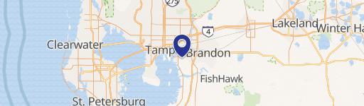Tampa, FL 33619