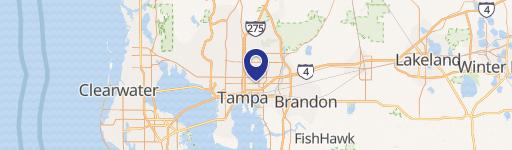 Tampa, FL 33605