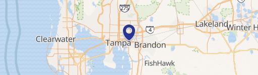 Tampa, FL 33605