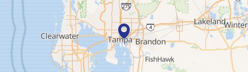Tampa, FL 33605