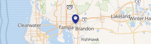 Tampa, FL 33619