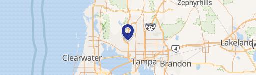 Tampa, FL 33625