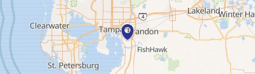 Tampa, FL 33619